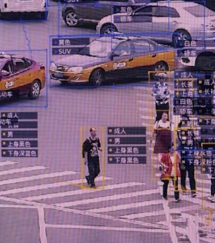 Gratitude DNA tweet media