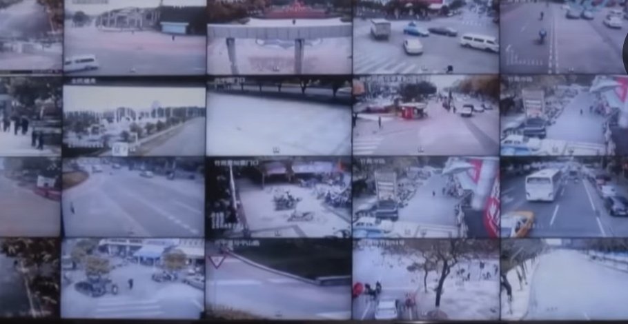 Gratitude DNA tweet media