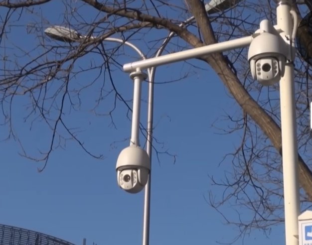 Gratitude DNA tweet media