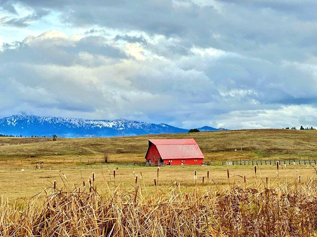 Jules_Atkinson's tweet image. Photo challenge, show us a photo displaying depth! 📸