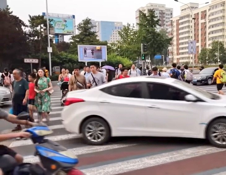 Gratitude DNA tweet media