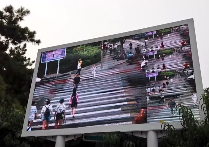 Gratitude DNA tweet media