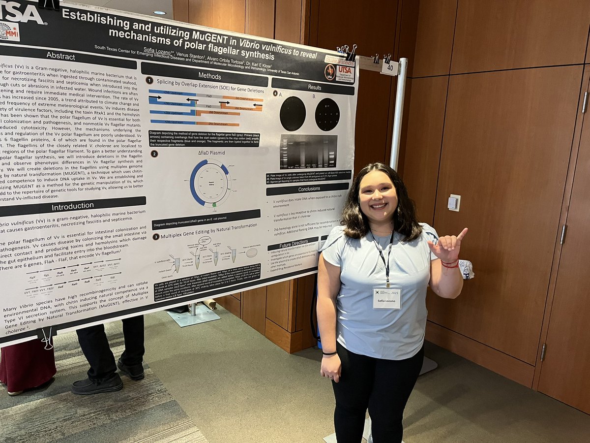 Karl Klose tweet media