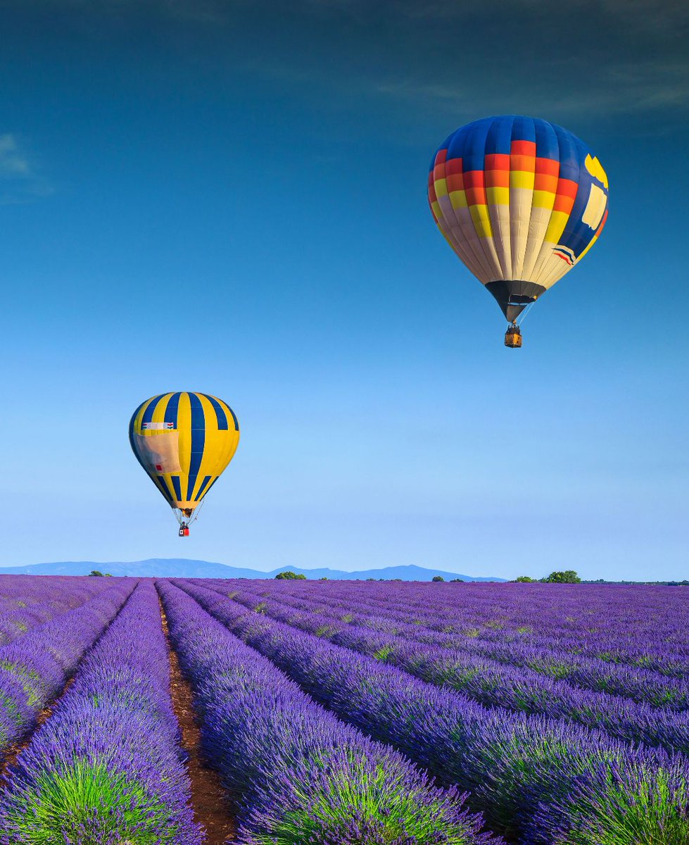 Valensole, Provence, France  #LavenderFields #HotAirBalloons