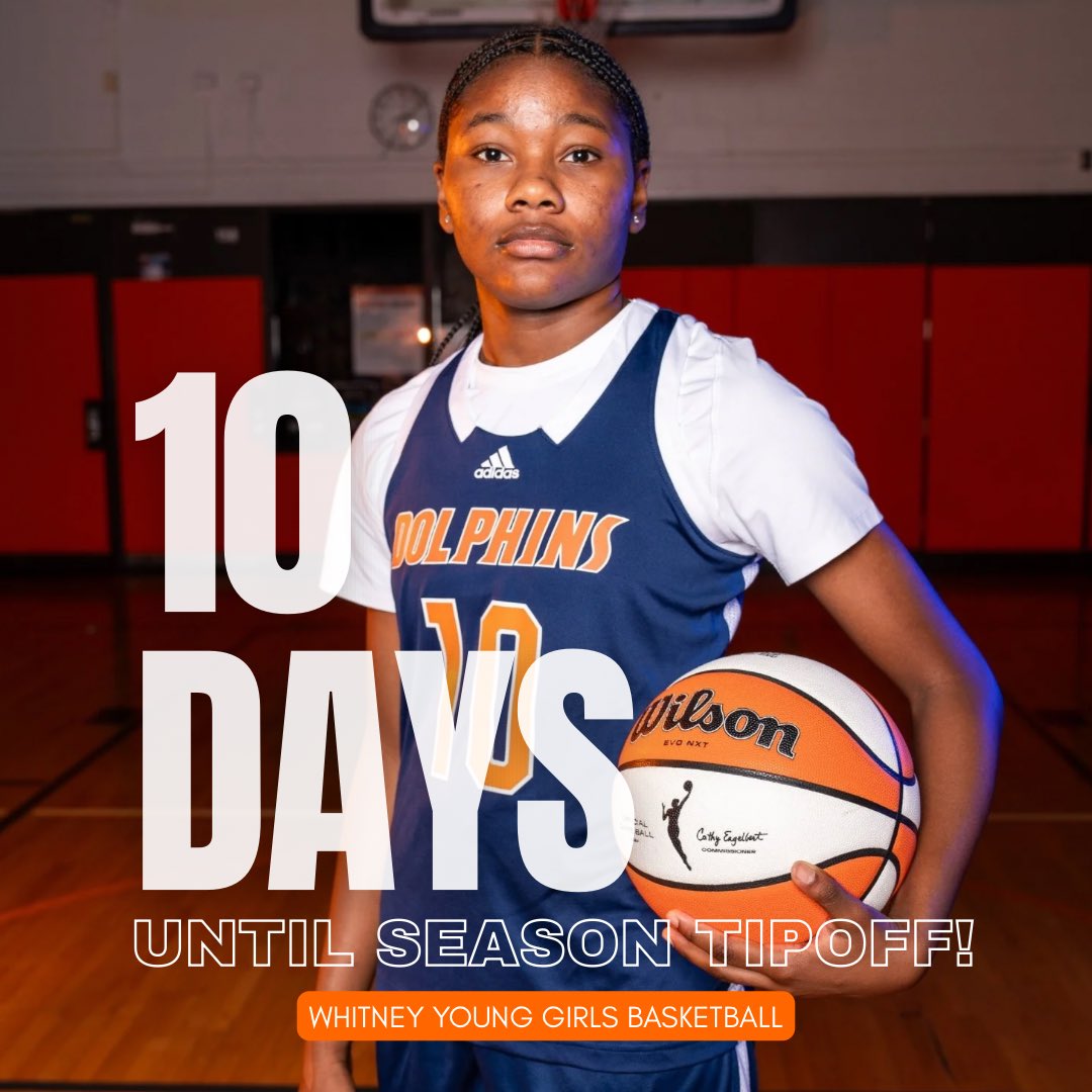 Whitney Young Lady Dolphins tweet media