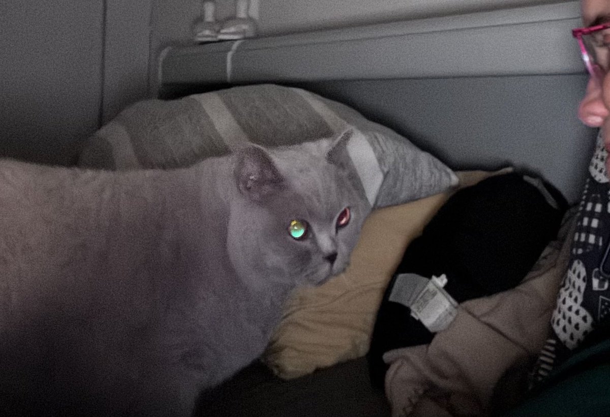 Er is Glow festival in Eindhoven dus ik vier mijn eigen feestje met mijn mooie oogjes 💕💡😻💡💚❤️💕