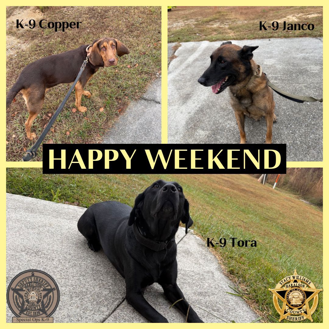 HCSOK9Division's tweet photo. K-9 Janco, K-9 Tora, and K-9 Copper would like to wish you a happy start to your weekend!!
#K9Janco🐾
#K9Tora🐾💙
#K9Copper🐾
#WorkingPups
#HCK9Division
#HCSO https://t.co/5i8B183u4W