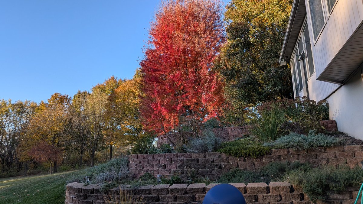 oscarfactor's tweet photo. Peak colors! https://t.co/gVyZ6oDYXN