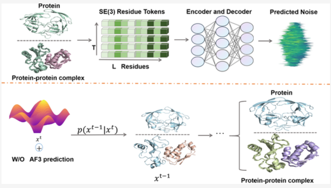 💥The future of protein AI isn't 3D, it's 4D💥

PTraj-Diff = SE(3)-diffusion (geometry) + BERT encoder (time)

A custom TPA (90% mem reduction) makes it feasible.

The result: high-quality, long-range trajectories seeded directly from static AF3 folds
