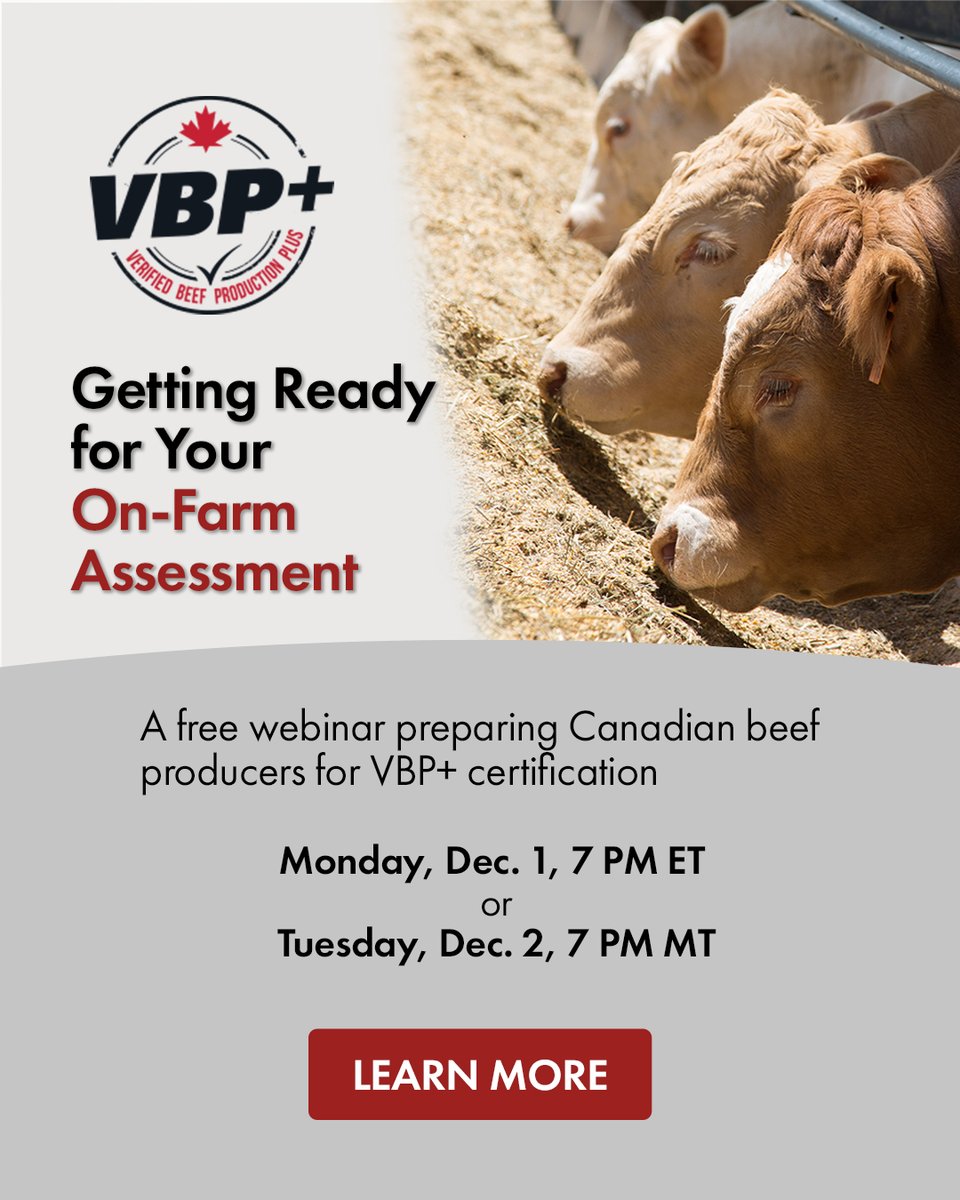 Save time and stress during your VBP+ certification assessment. This free webinar is offered two separate nights to accommodate producers across Canada in different time zones. 

Learn more and register. ⬇️
verifiedbeef.ca/2025/11/06/get…