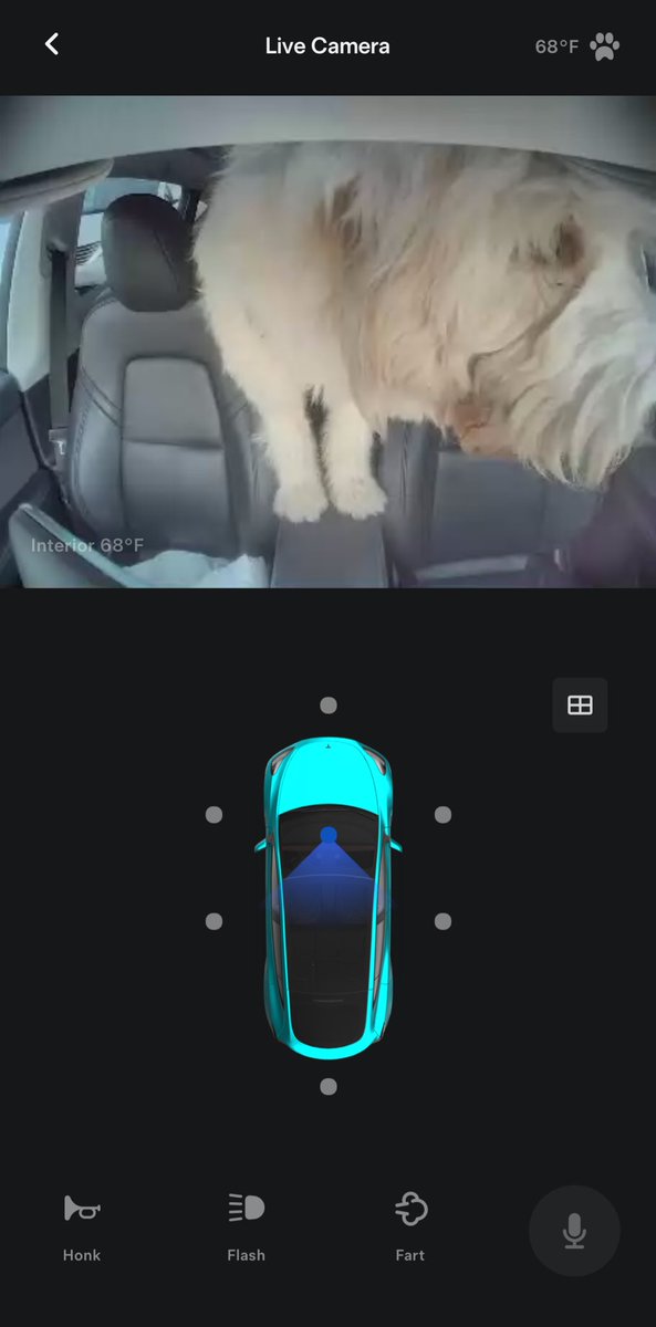 cusfragoso's tweet image. Love this Tesla feature! Our dog was patiently waiting for us, and we could watch him on the live camera.