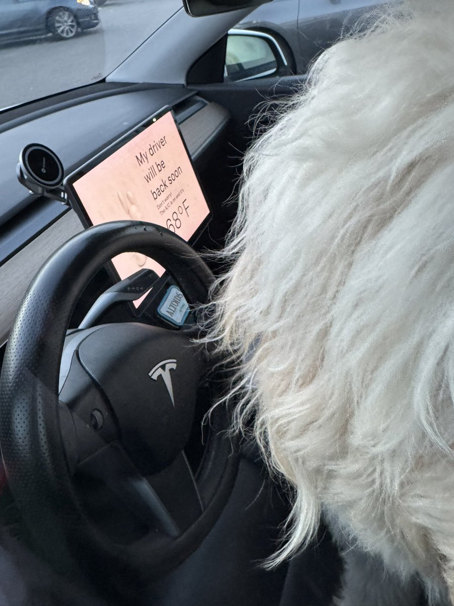cusfragoso's tweet image. Love this Tesla feature! Our dog was patiently waiting for us, and we could watch him on the live camera.