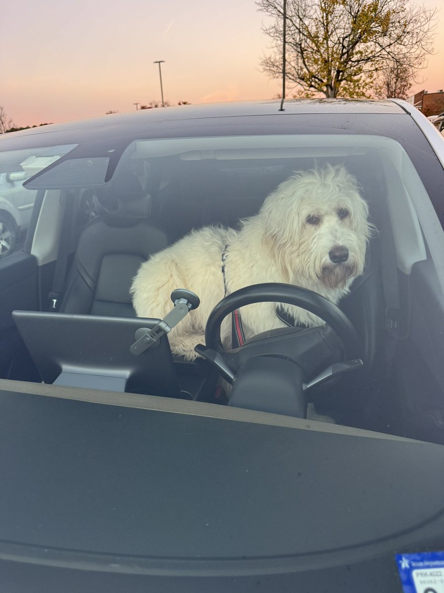 cusfragoso's tweet image. Love this Tesla feature! Our dog was patiently waiting for us, and we could watch him on the live camera.