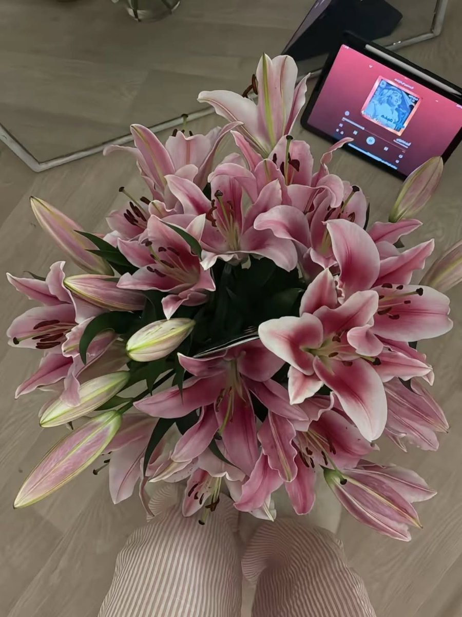 Nooni (@chaarpaai) on Twitter photo 