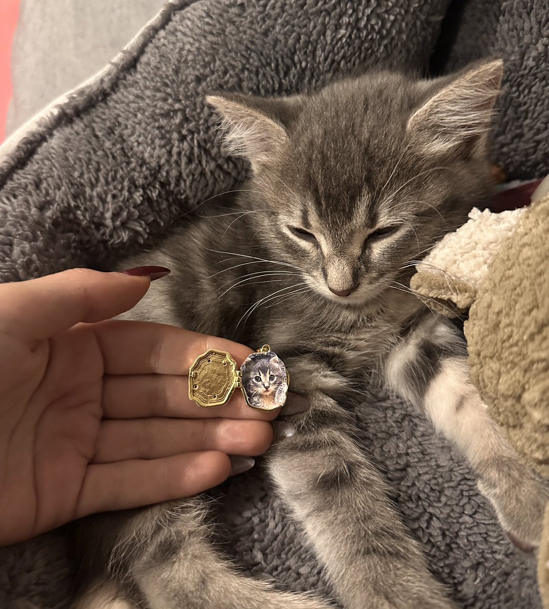 uyansana baksana naptım baksana ya