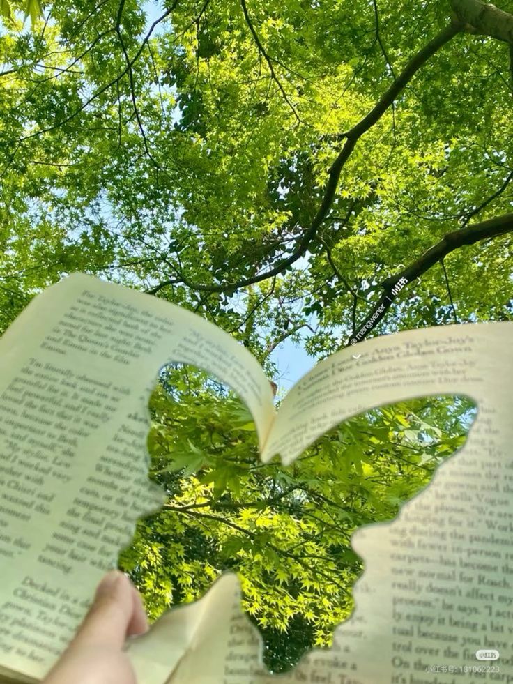 greenvibe's tweet image. 