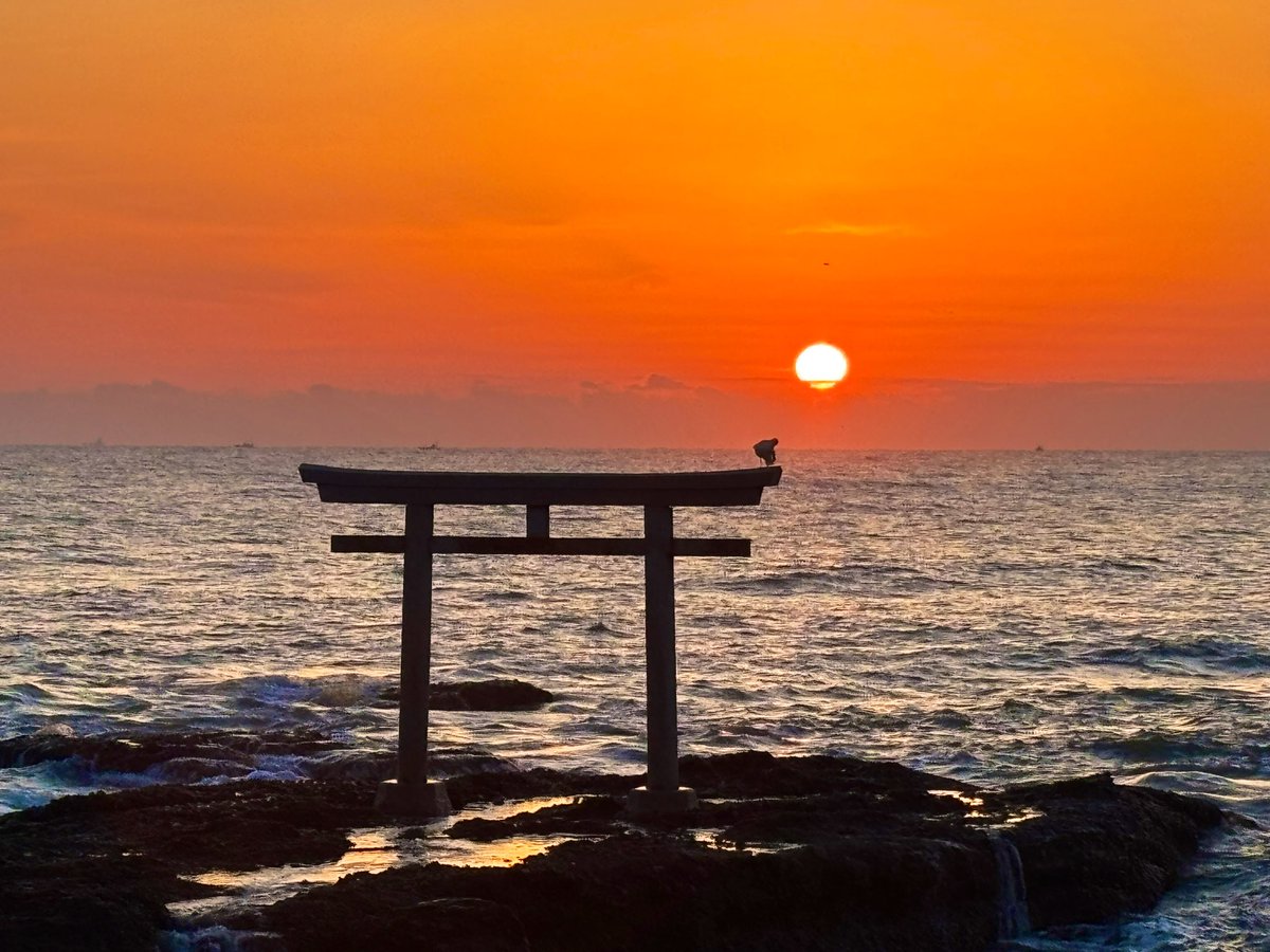 オハヨウ＼＼\\٩( 'ω' )و //／／☀️