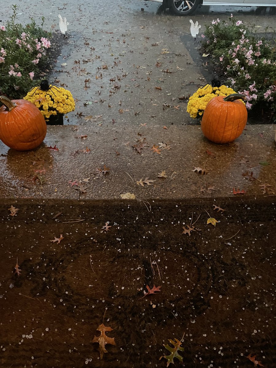 ErinWClark's tweet photo. @NashSevereWx Pea sized hail Granny White and OHB https://t.co/HJL5rfW0pL