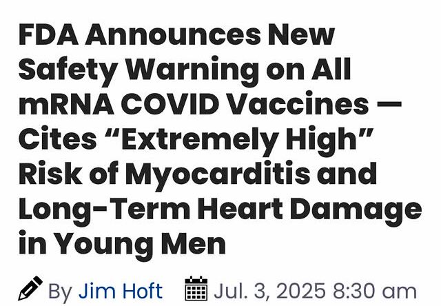 🔬Stanford Harvard and Yale Covid Research

☝️Pivotal mRNA Studies

🤝When the COVID vaccines were pitched to the public, the greatest concerns were experimental gene therapies could change our DNA, they would persist in the body for a prolonged period. To address these, the
