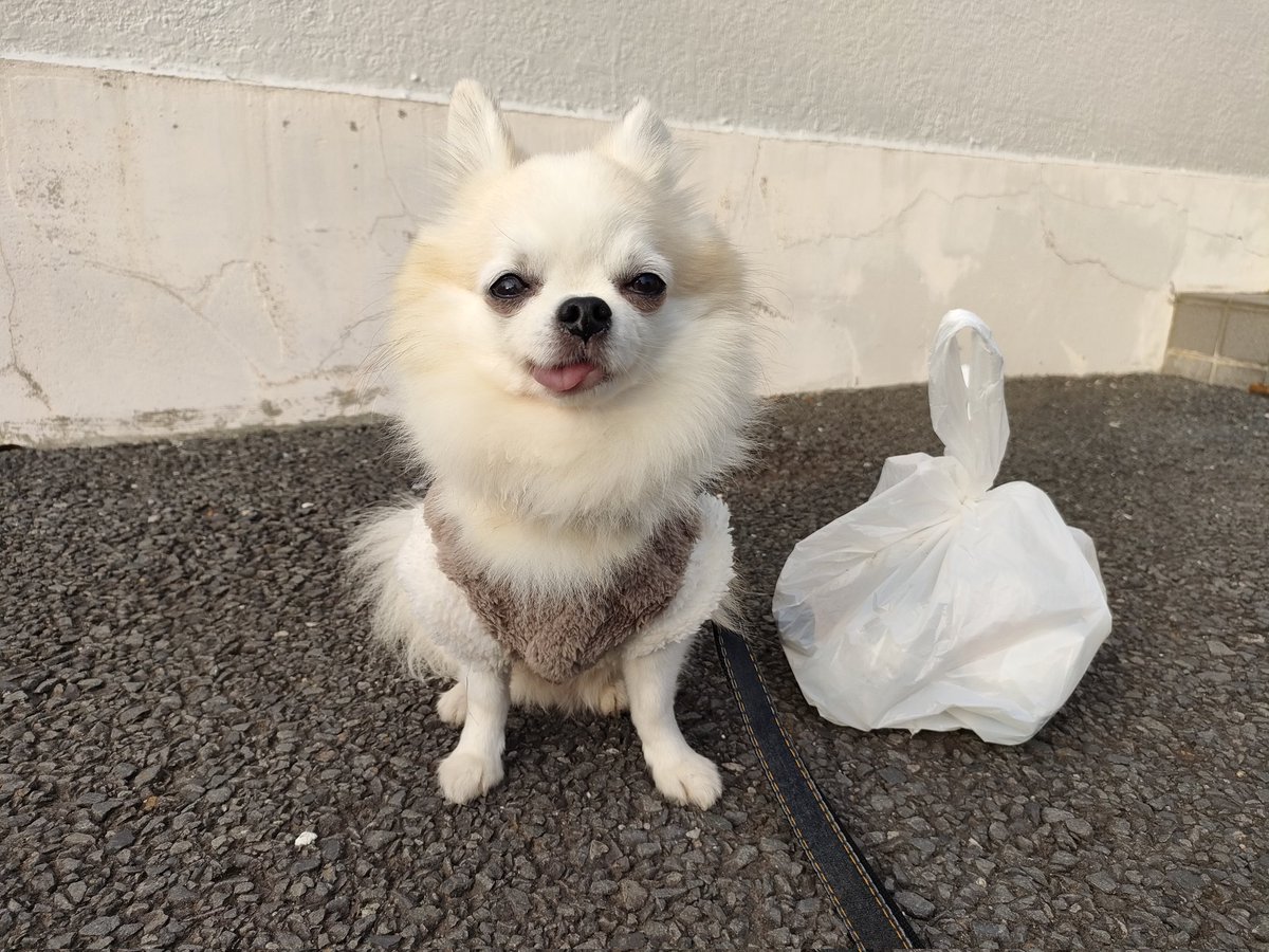 じゅんじゅん★本気で断捨離中 工進の水中ポンプBL-2524Nならボクらの農業EC