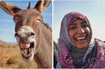 توكل نثره
قالت بعد ثورتها باتخلي اليمن زهره
الوطن ضاع والشعب مغلوب على أمره
أشعلت الفتنه ولم تكتفي حتى هذه اللحظه
اسالوها اين وعودهاهذه الفسله
اصحى ياشعب واعرف حقيقتها والموامره
جائزة نوبل كانت اول خطوه
لتنهي وطن وتعيد الامامه وعهدهاالظلمه
لعنةالله عليك ياتوكل نقره
✍️ابوعلي✌️🇾🇪✌️