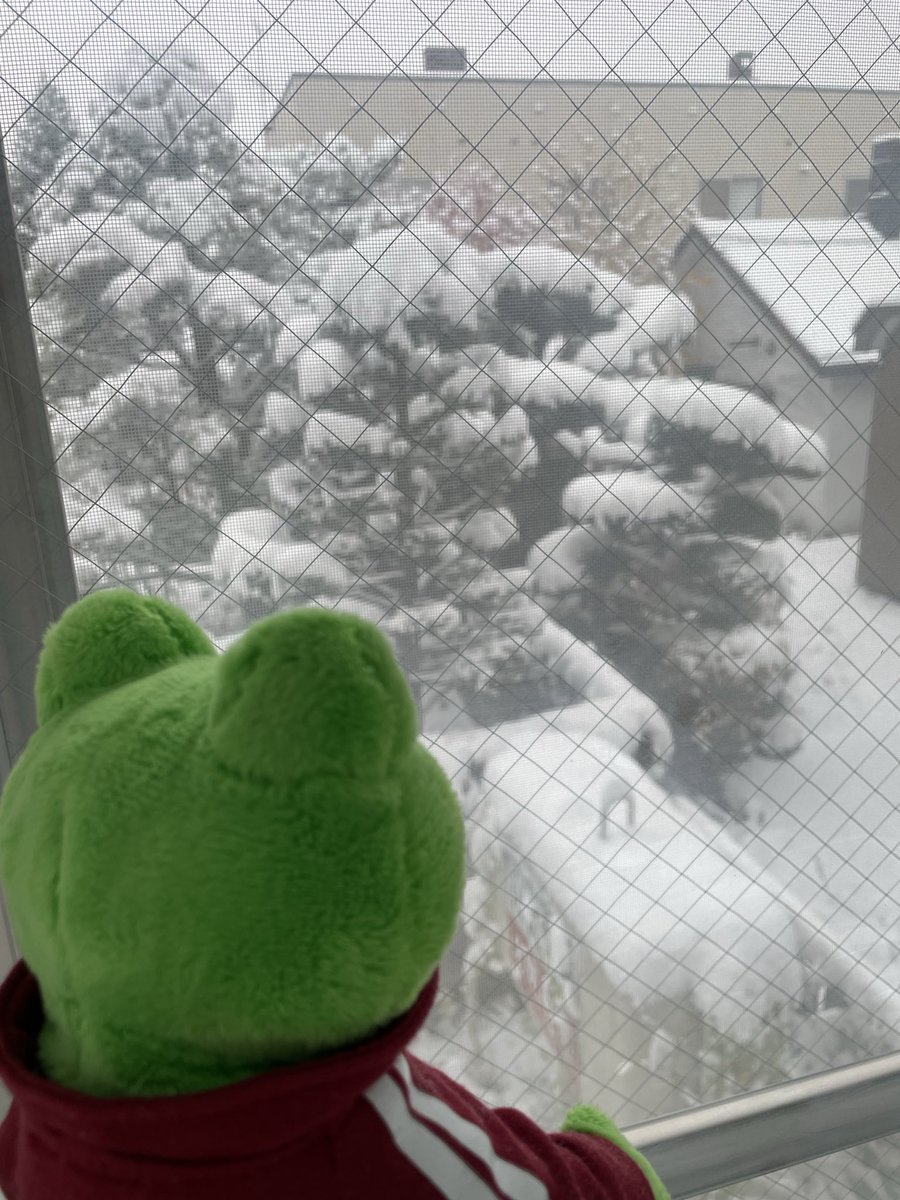 rena36195's tweet photo. 👩)カーテンを開けたら‼️
にがうり🐸)すっかり冬景色☃️
#かえるのピクルス https://t.co/xFQyOU42Zs
