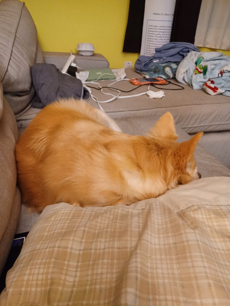 Mama wants to talk about why I snack on cat poop in the yard (left behind by strays the neighbor is feeding..........I don't wanna talk about it. Ugh. Pushy mama! #dogsofX #dogsoftwitter #idontwannatalkaboutit