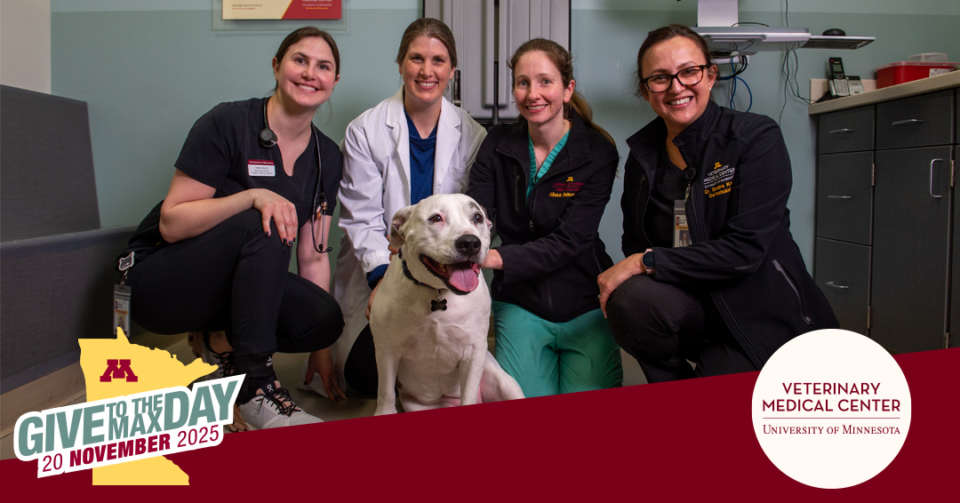 umnVMC's tweet photo. Nov. 20 is #GiveToTheMaxDay, MN's annual giving holiday! Each year, more than 15K animals come through #umnVMC. Their care depends in part on the generosity of people who believe in this work. Make an early donation today: https://t.co/HmPY4rhVl6

#UMNGive | #GTMD25 https://t.co/YaasMJVUGr