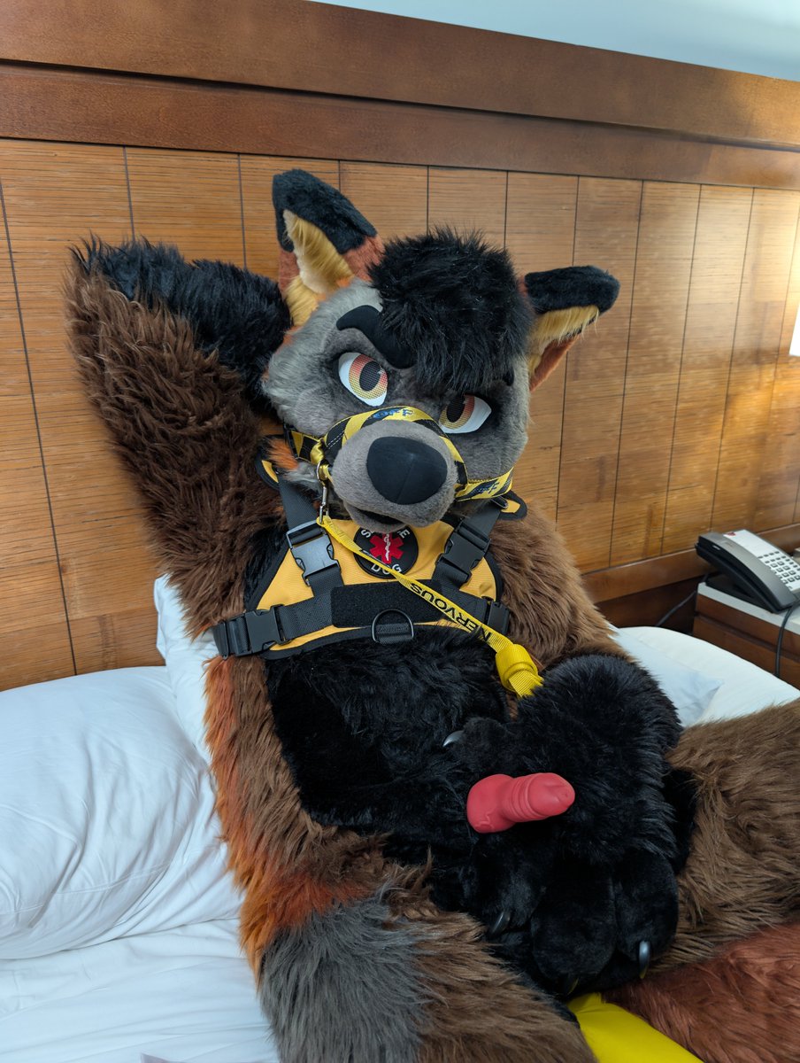 Tyler 🦊 🔜 Your MFF Bed tweet media