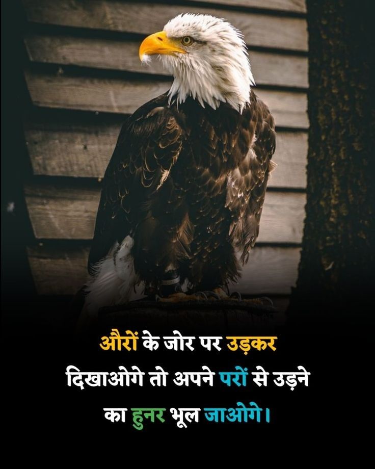 premkumarcbn01's tweet image. औरों के जोर पर उड़कर 
       दिखाओगे तो अपने पैरों से 
उड़ने का हुनर भूल जाओगे !

          सुप्रभात 🙏