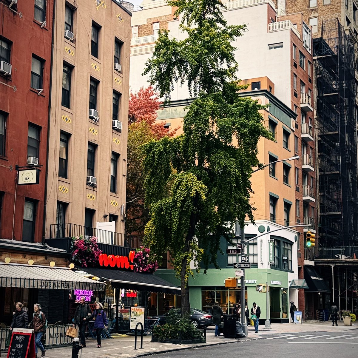 NY. Socialismens högborg