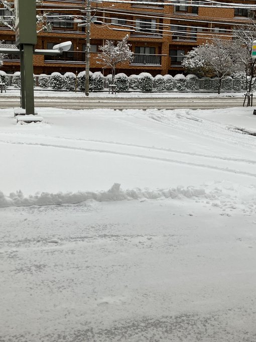 アニランドのツイート