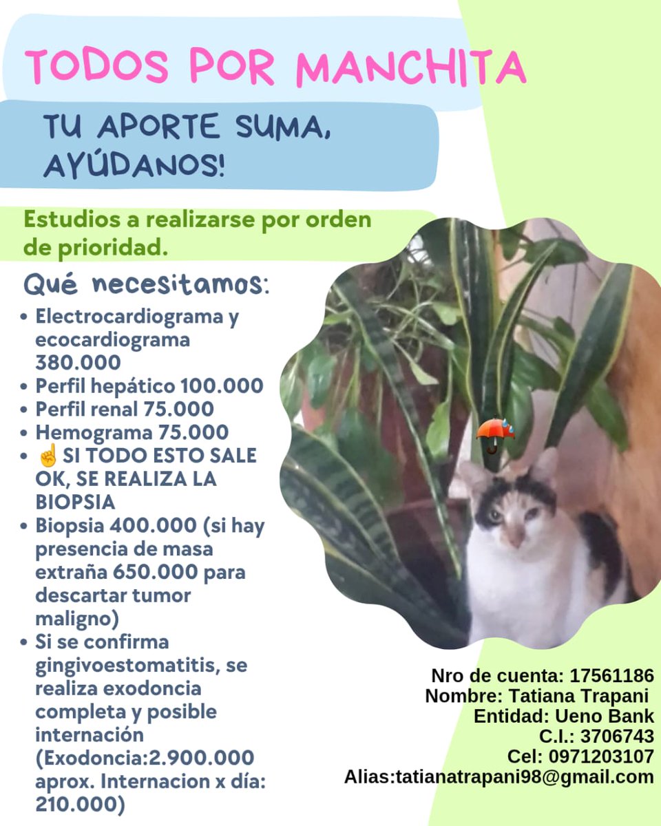 Mañana se hará una feria para juntar dinero para pagar los gastos veterinarios de la jefa del edificio, Manchita. Habrá comida, ropa, plantas y artículos varios.