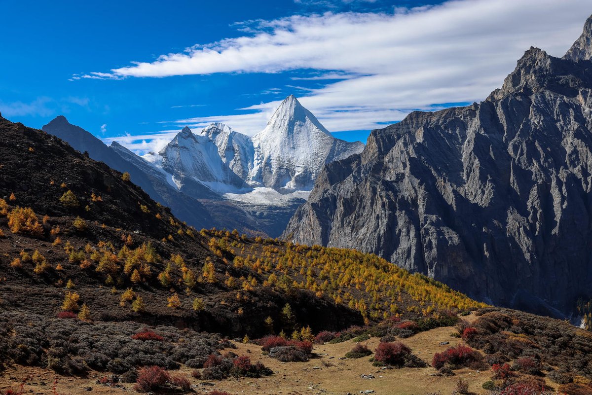 ChinaDaily's tweet photo. #ChinaCanvas Nestled in Daocheng county, #Sichuan province, the #Yading Nature Reserve is now at its best viewing season. Known for its three sacred snow-capped peaks — Mount Chenrezig (Xiannairi), Mount Jampayang (Yangmaiyong), and Mount Chanadorje (Xianuoduoji) — along with crystal lakes, winding rivers, and alpine meadows, Yading offers one of China's most breathtaking natural landscapes.