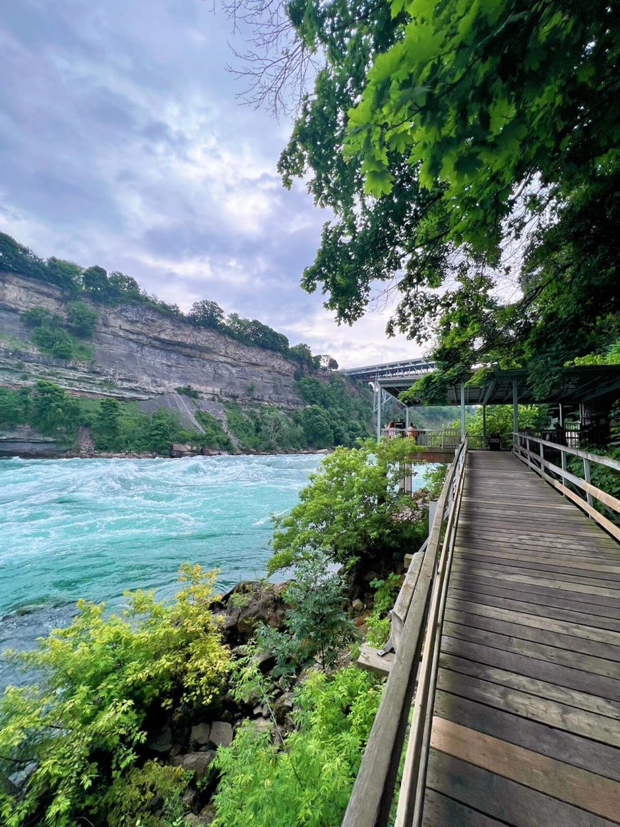 🏞️ Nature’s my kind of therapy 🌿