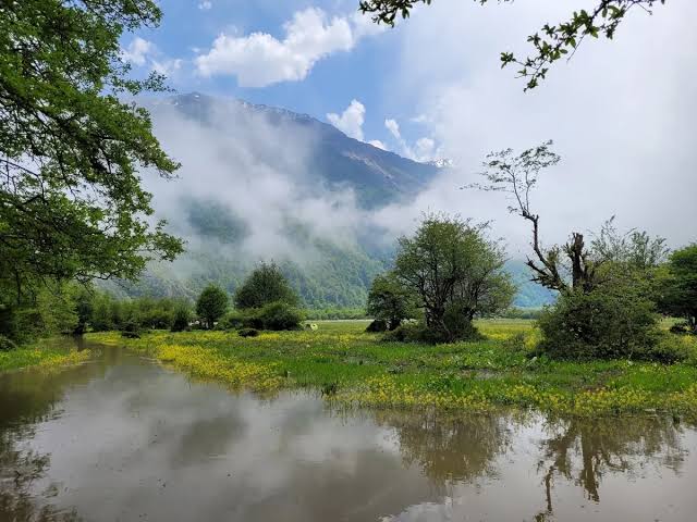 دریای خزر، جنگل‌های هیرکانی، کوهستان البرز، آبشارها، دریاچه‌ها و چشمه‌های آب گرم، مازندران را یکی از مهم‌ترین مقاصد گردشگری کشور کرده است.

امکان توسعه گردشگری روستایی، اکوتوریسم، گردشگری سلامت و بوم‌گردی بسیار بالاست.
#مازندران_ما
#ساری_ما