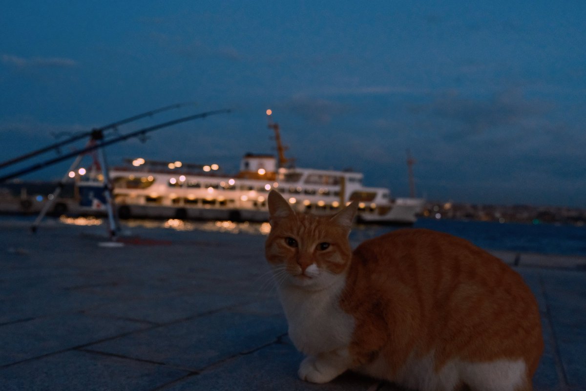 Herkes kısmetini bekler...