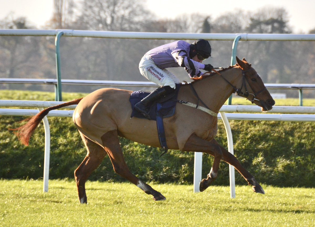 Jerry McGrath tweet media