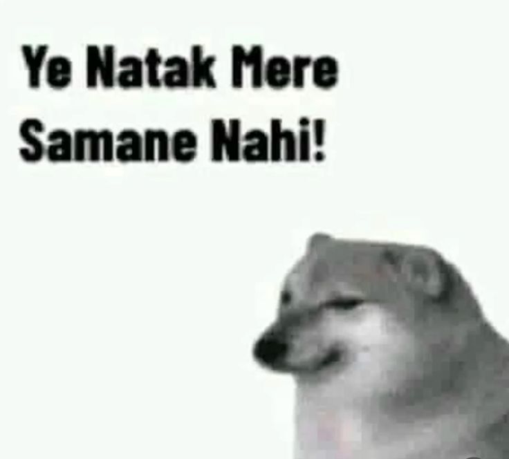 Bhat qurat tweet media