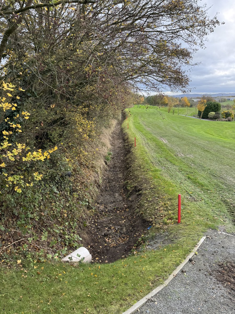 Adam Bartle tweet media