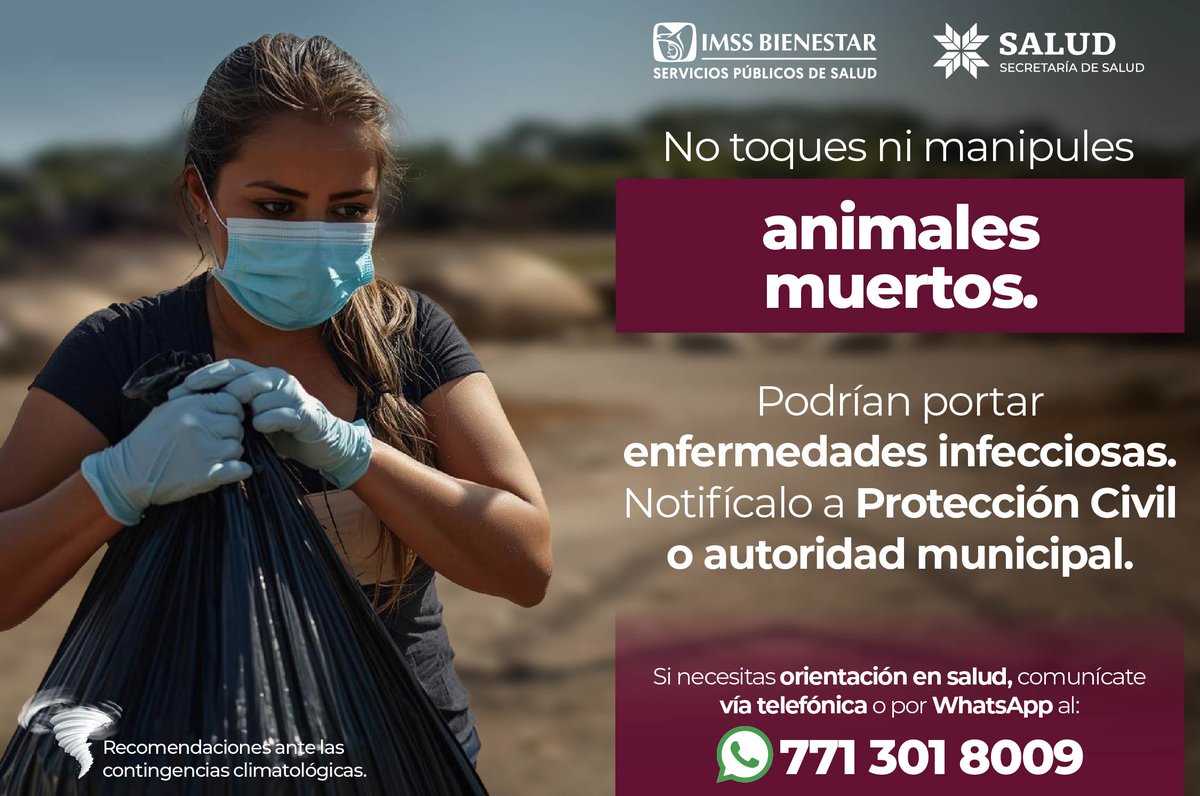 ImssHgo28486's tweet photo. ¡Cuida tu salud y la de tu familia!
Acércate al personal de salud para resolver cualquier duda o recibir orientación. https://t.co/vbzfxeY06e