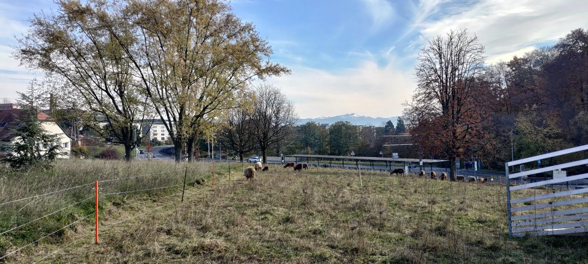 Michael Jost tweet media