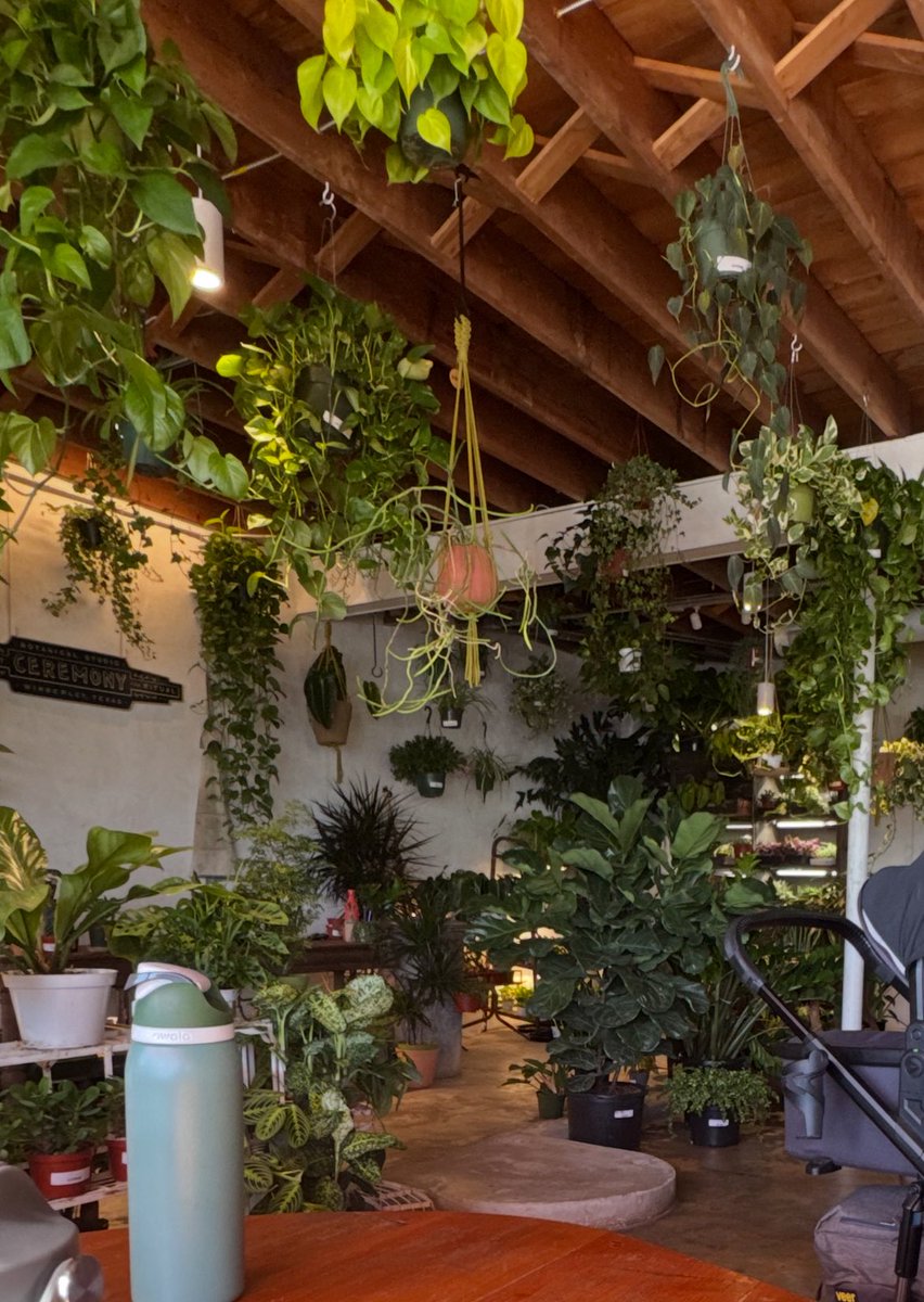 Cool coffee shop vibe.  And they allow dogs.