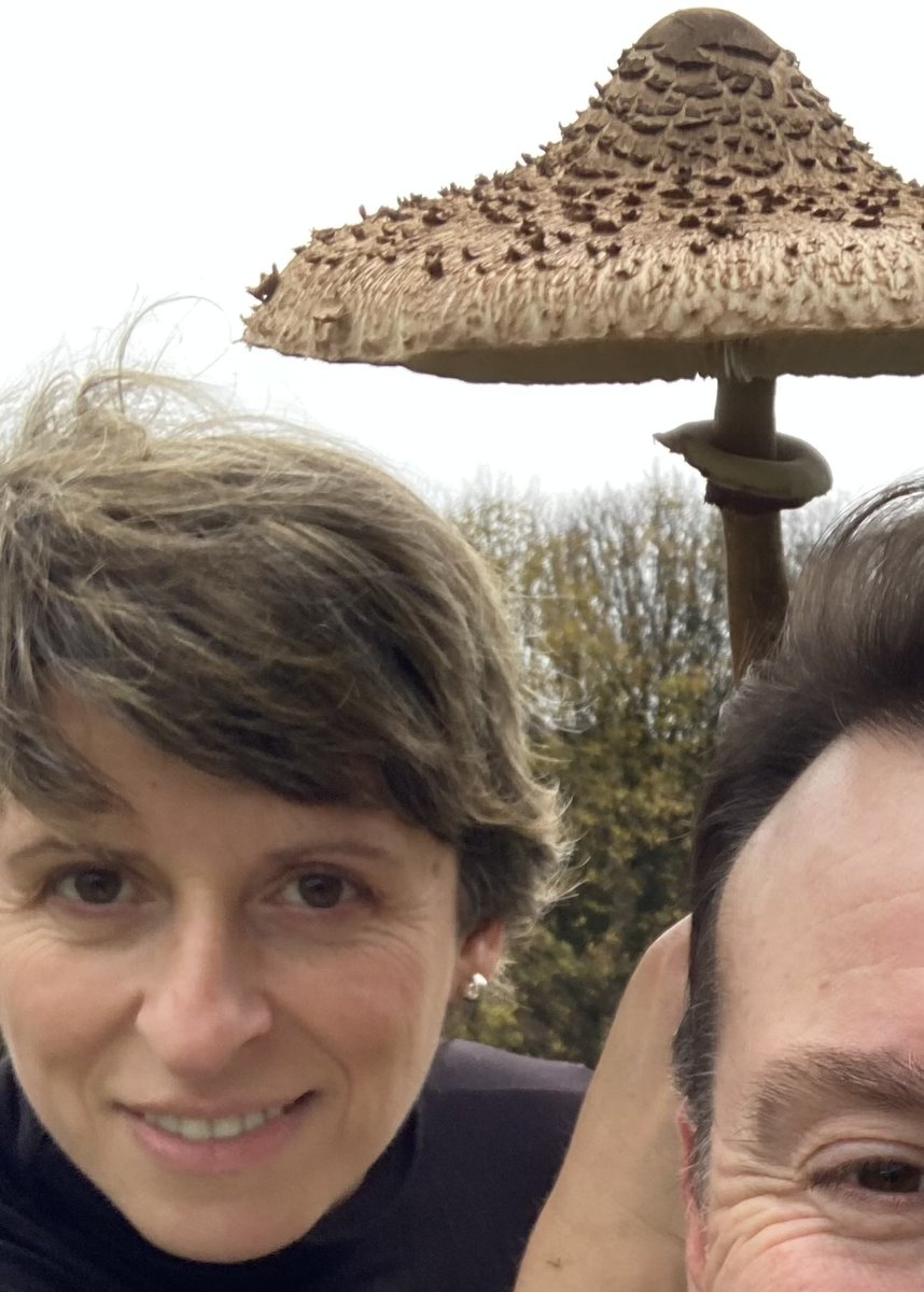 Phil_Daniels's tweet image. Parasol city would you eat these?#Mushrooms