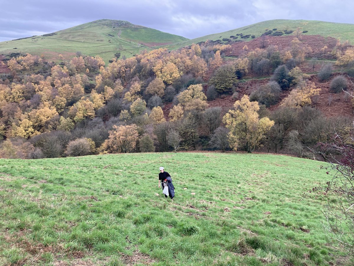 Phil_Daniels's tweet image. Parasol city would you eat these?#Mushrooms