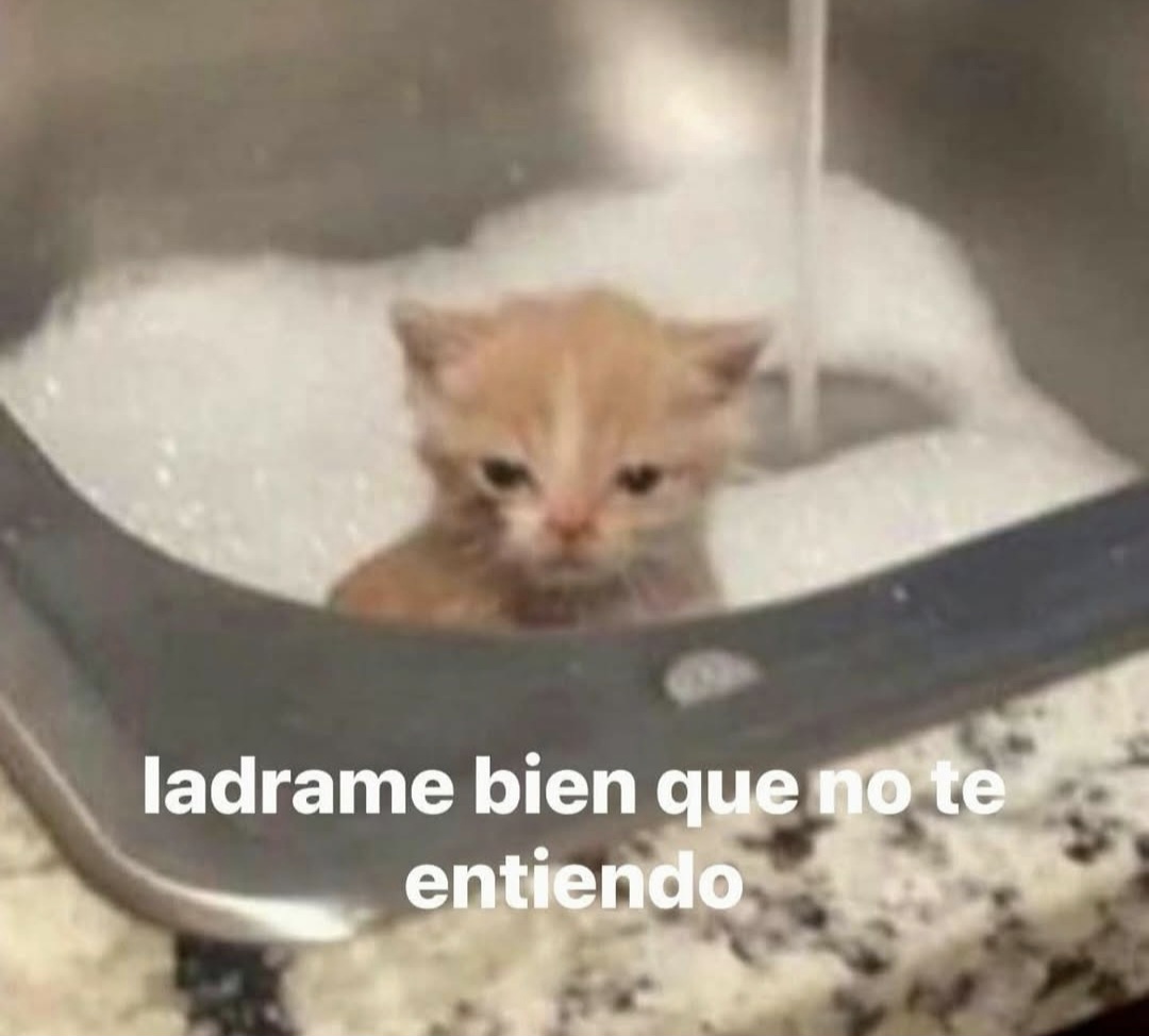 Animalesaprieto's tweet photo. https://t.co/XCmC69VI5z