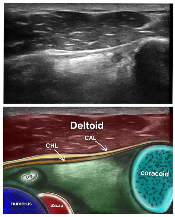 MSKUS_PT_KSA's tweet photo. CAL &amp;CHL 
تعلم معنا في  MSKUS https://t.co/XKQqfQoGbf