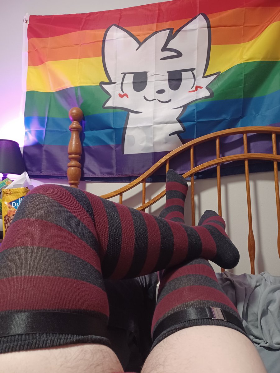 Rut, the Wolf tweet media