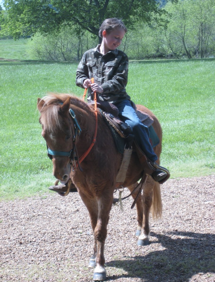 Timothy Wayne tweet media