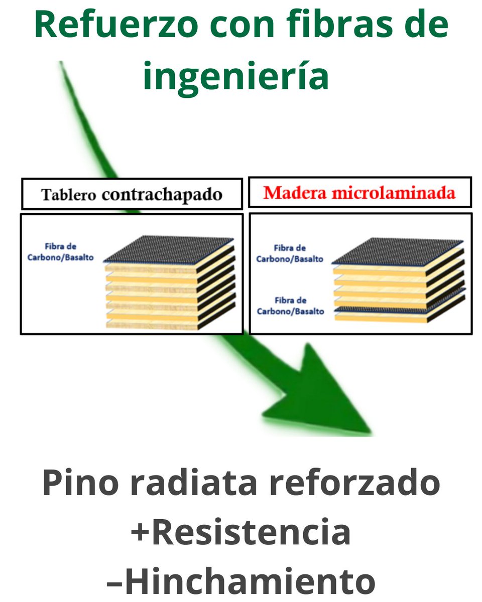 Maderas Cienc Tecnol tweet media